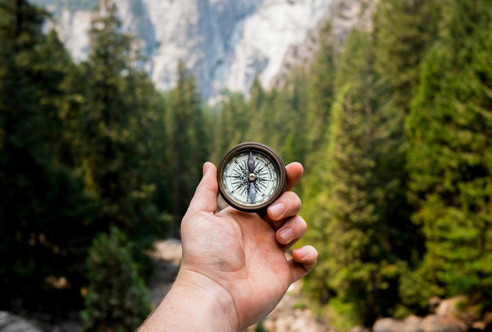 A hand holding a compass in a pine forest